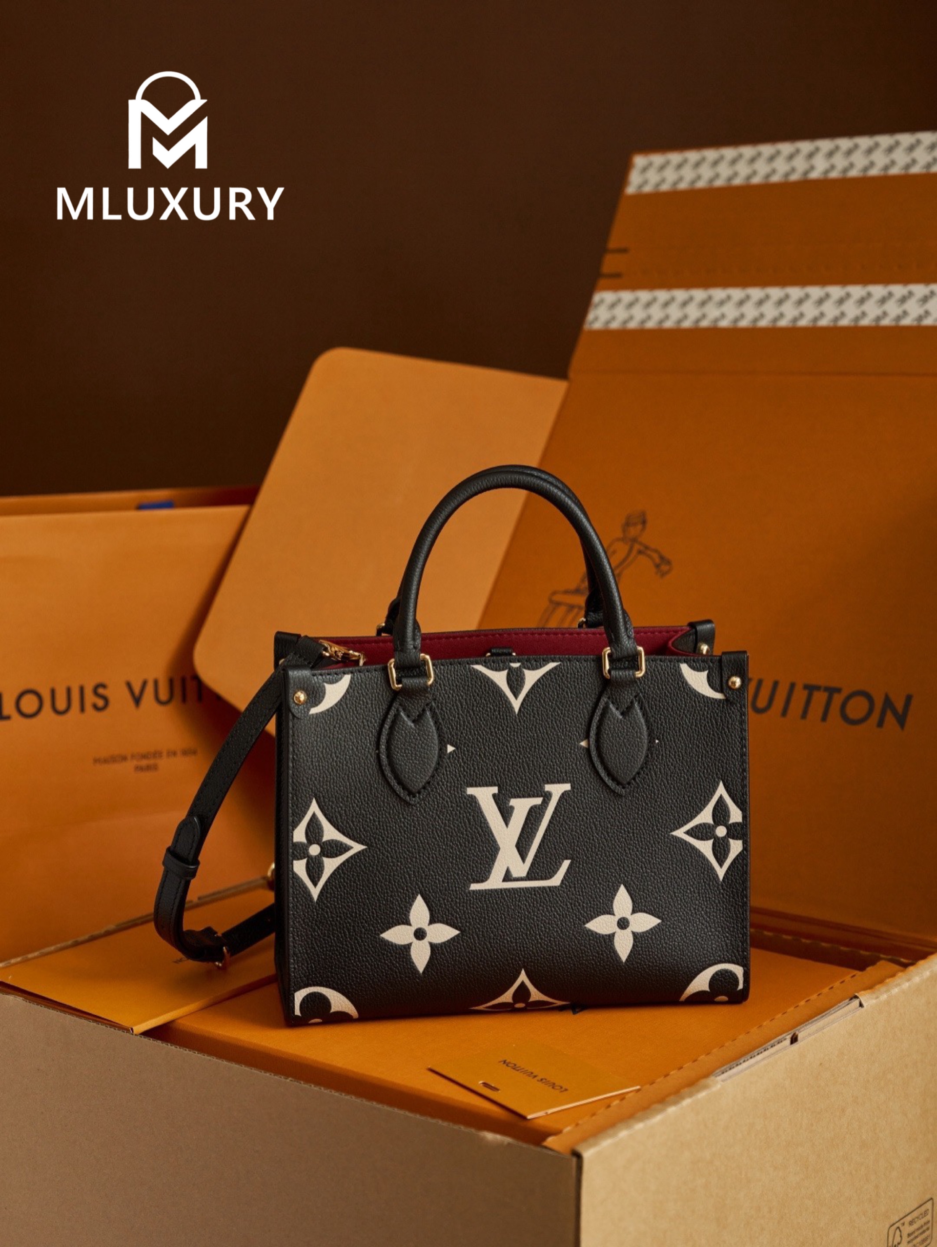 LOUIS VUITTON ONTHEGO (Small Size), Black