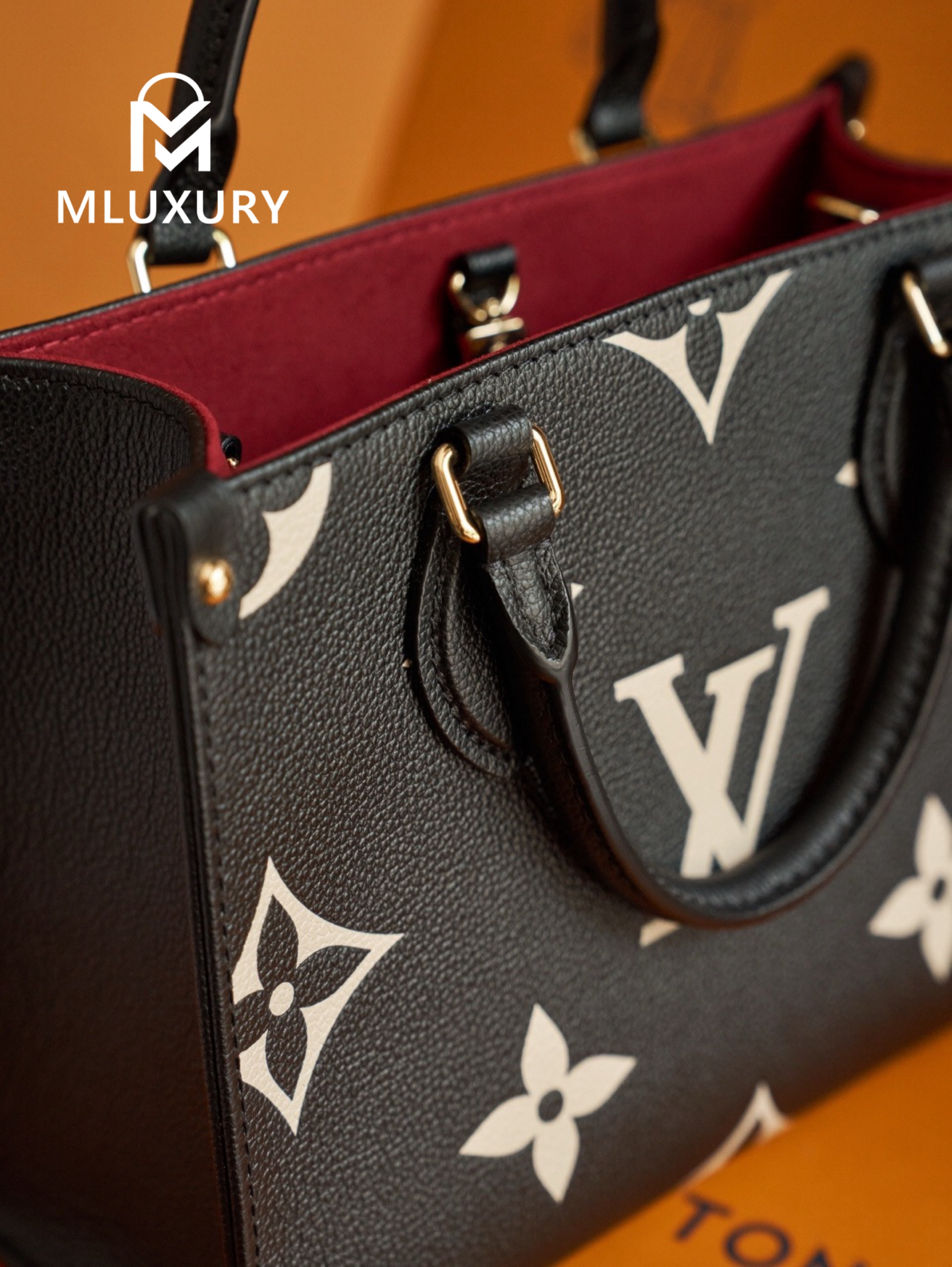 LOUIS VUITTON ONTHEGO (Small Size), Black