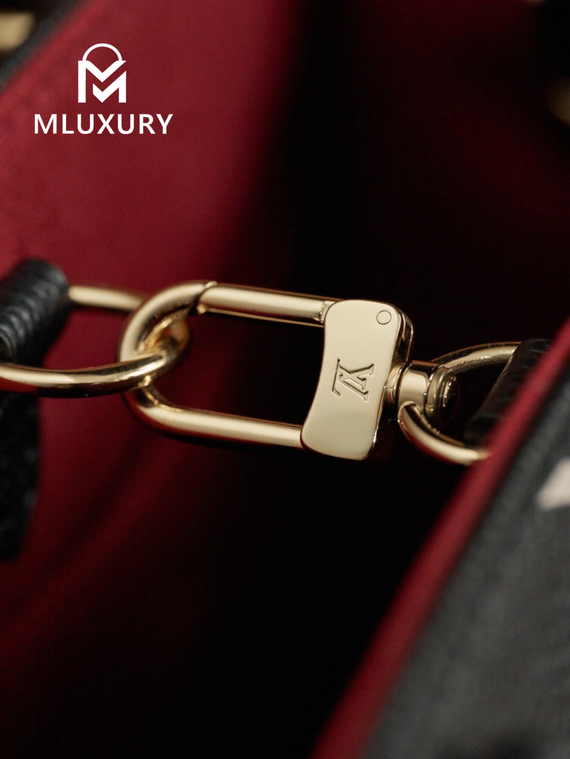 LOUIS VUITTON ONTHEGO (Small Size), Black