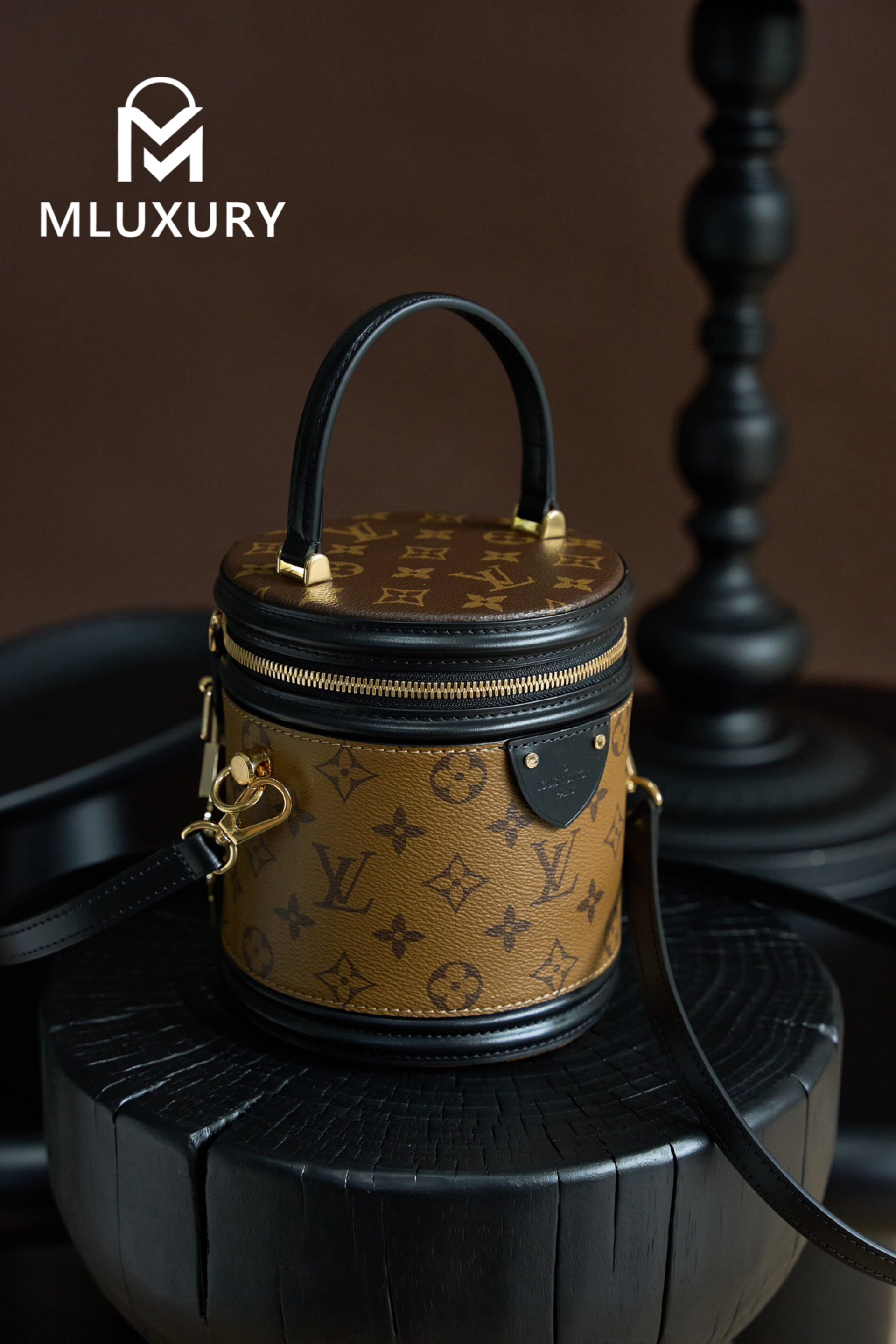 LOUIS VUITTON CANNES Handbag