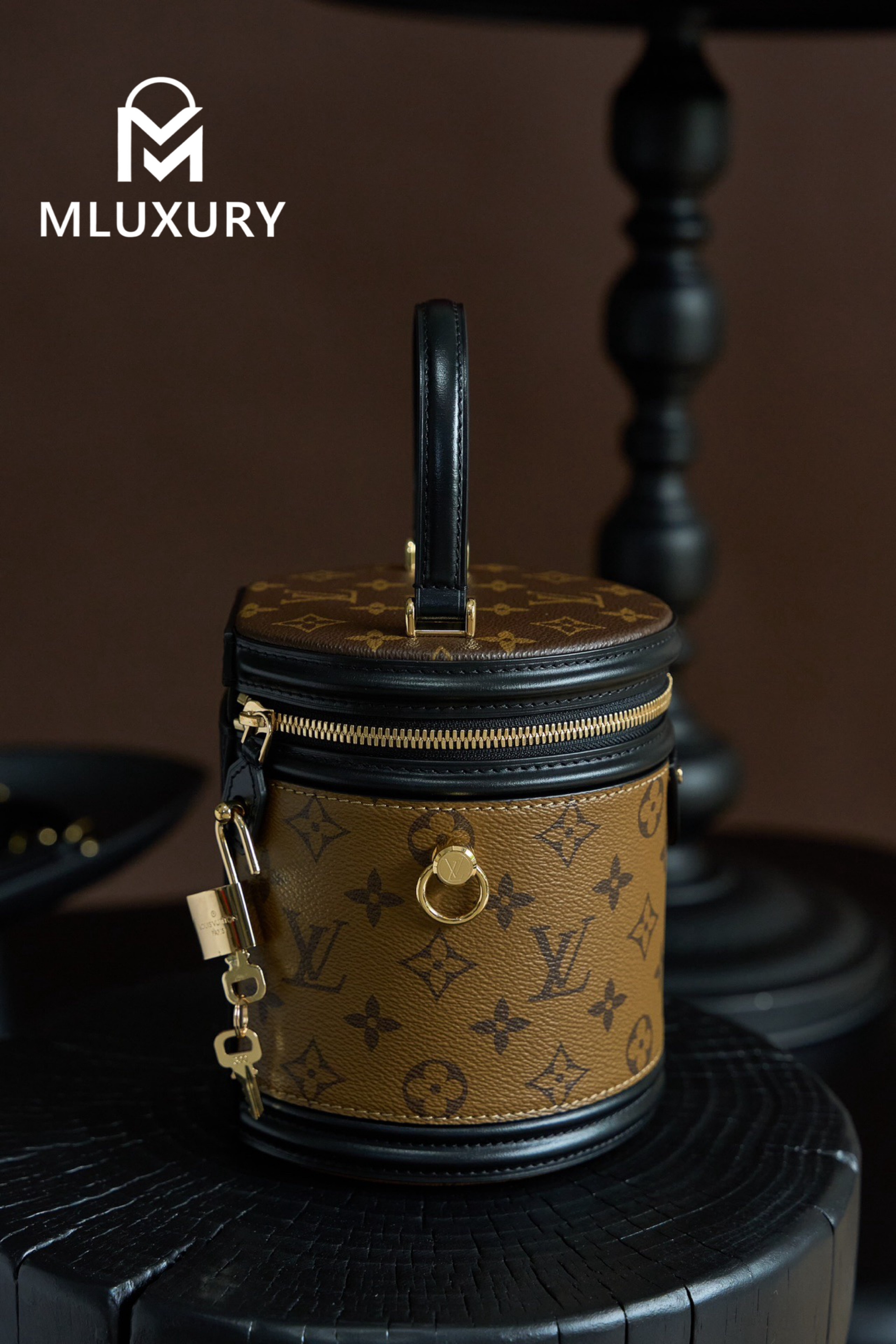 LOUIS VUITTON CANNES Handbag