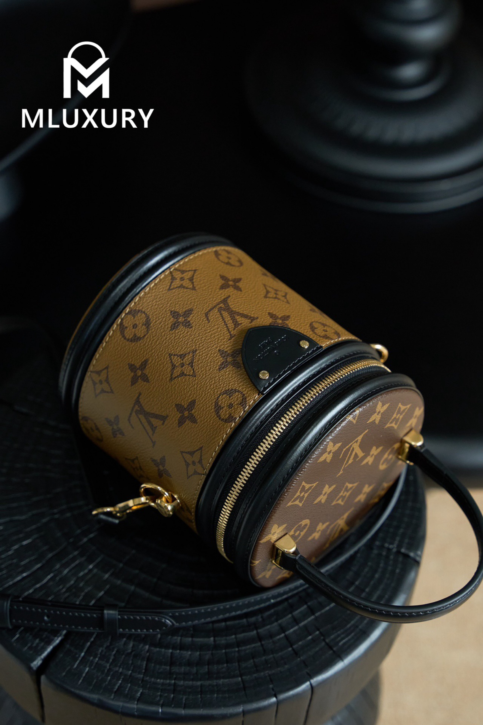 LOUIS VUITTON CANNES Handbag