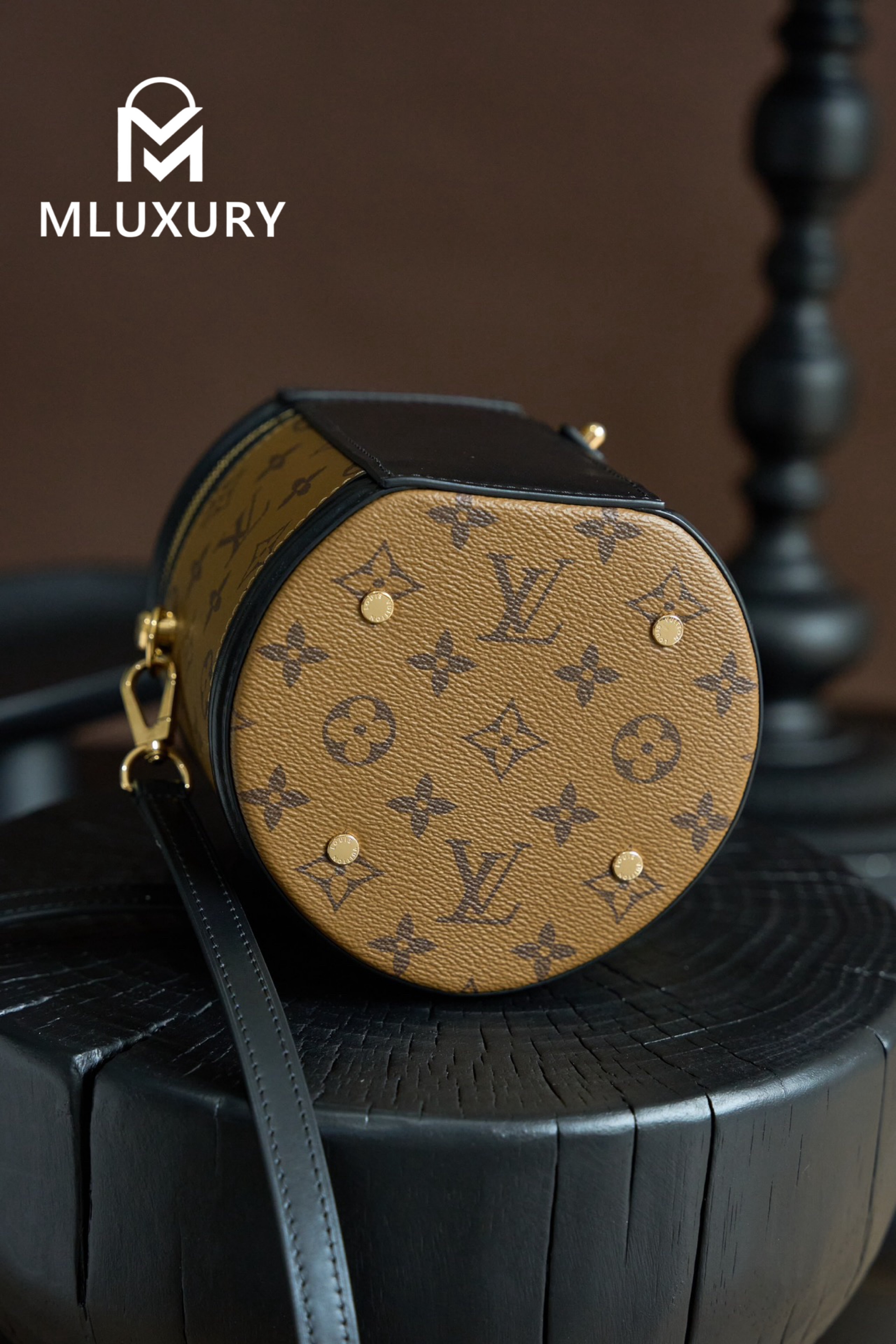 LOUIS VUITTON CANNES Handbag