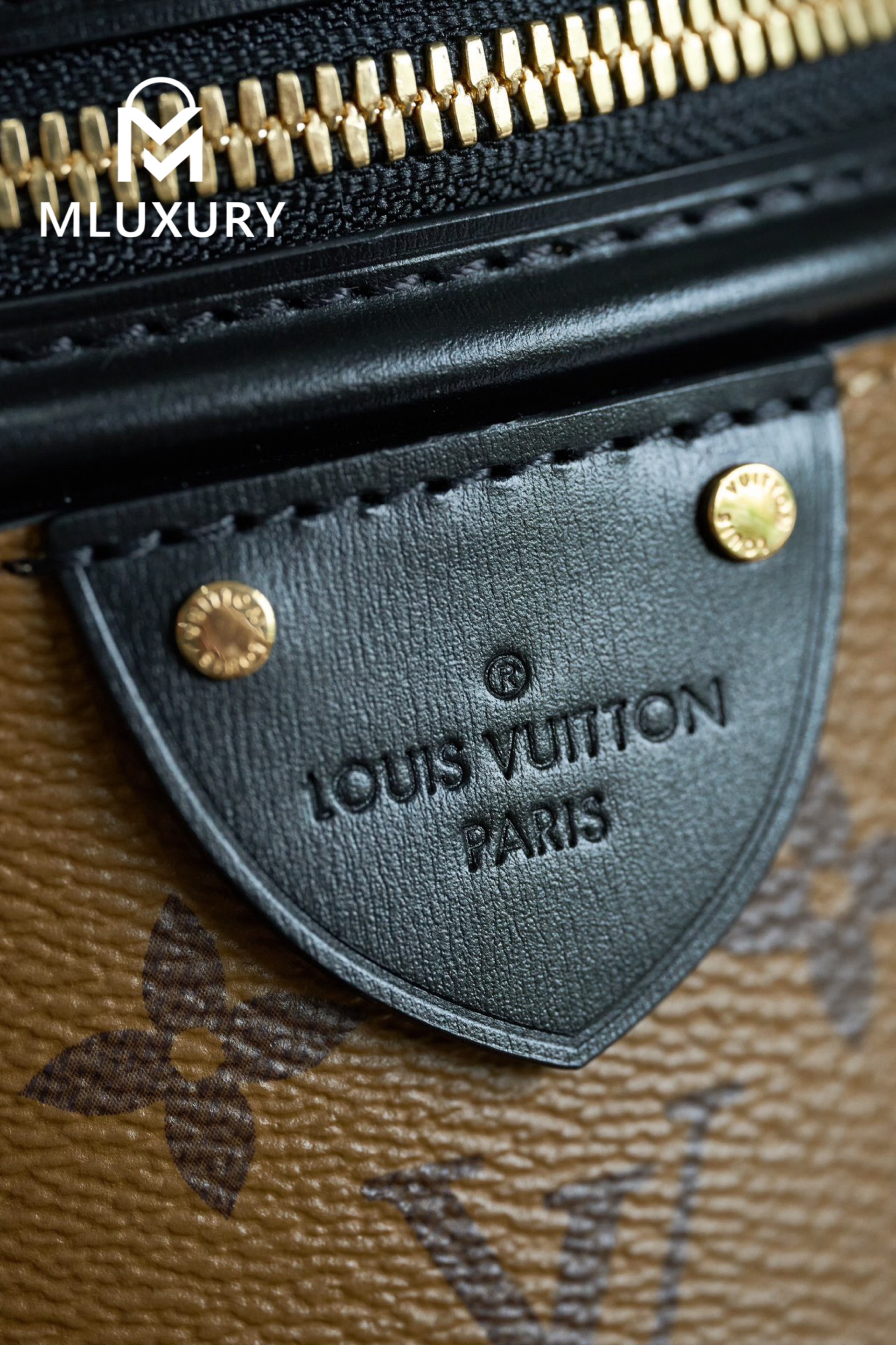 LOUIS VUITTON CANNES Handbag