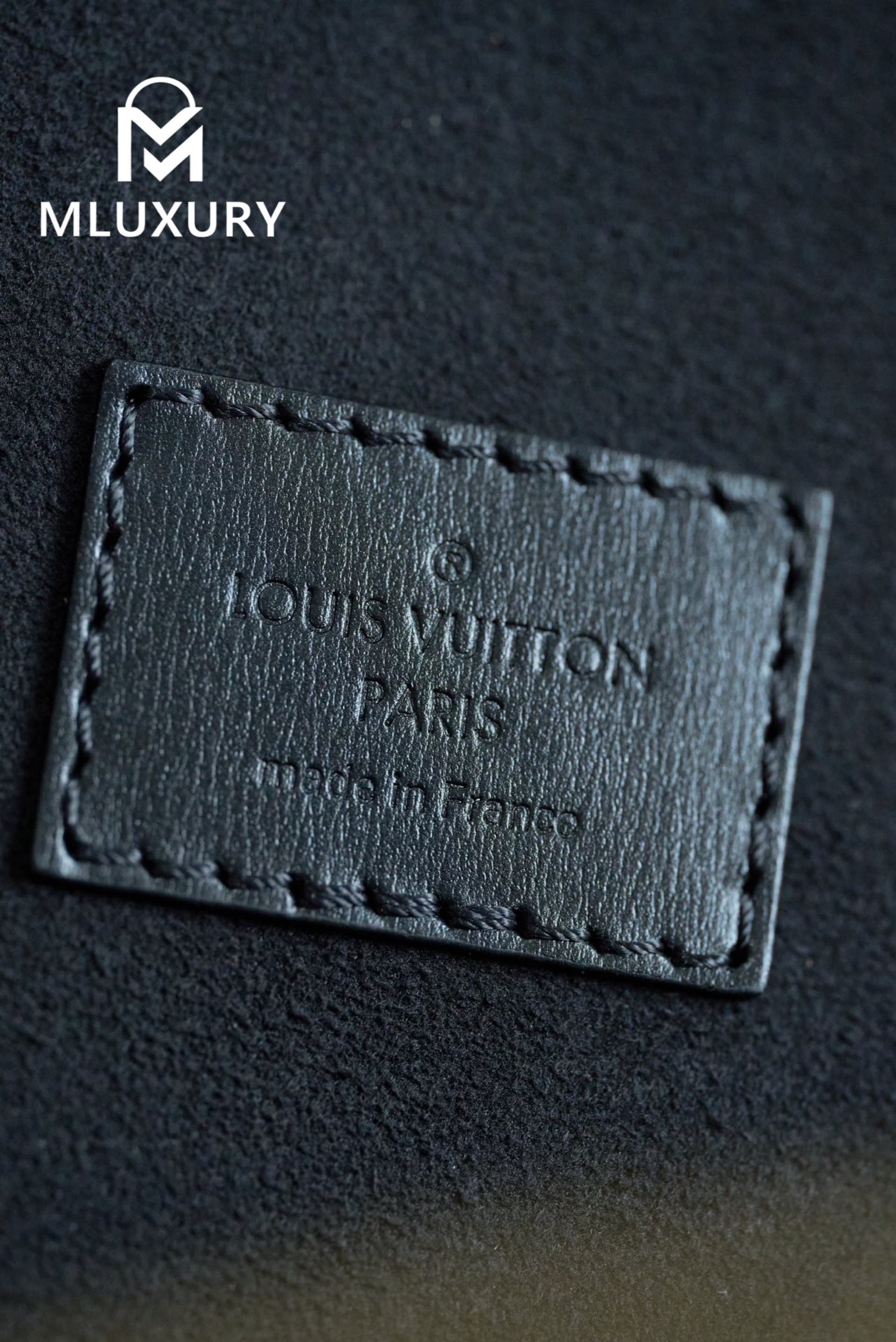 LOUIS VUITTON CANNES Handbag
