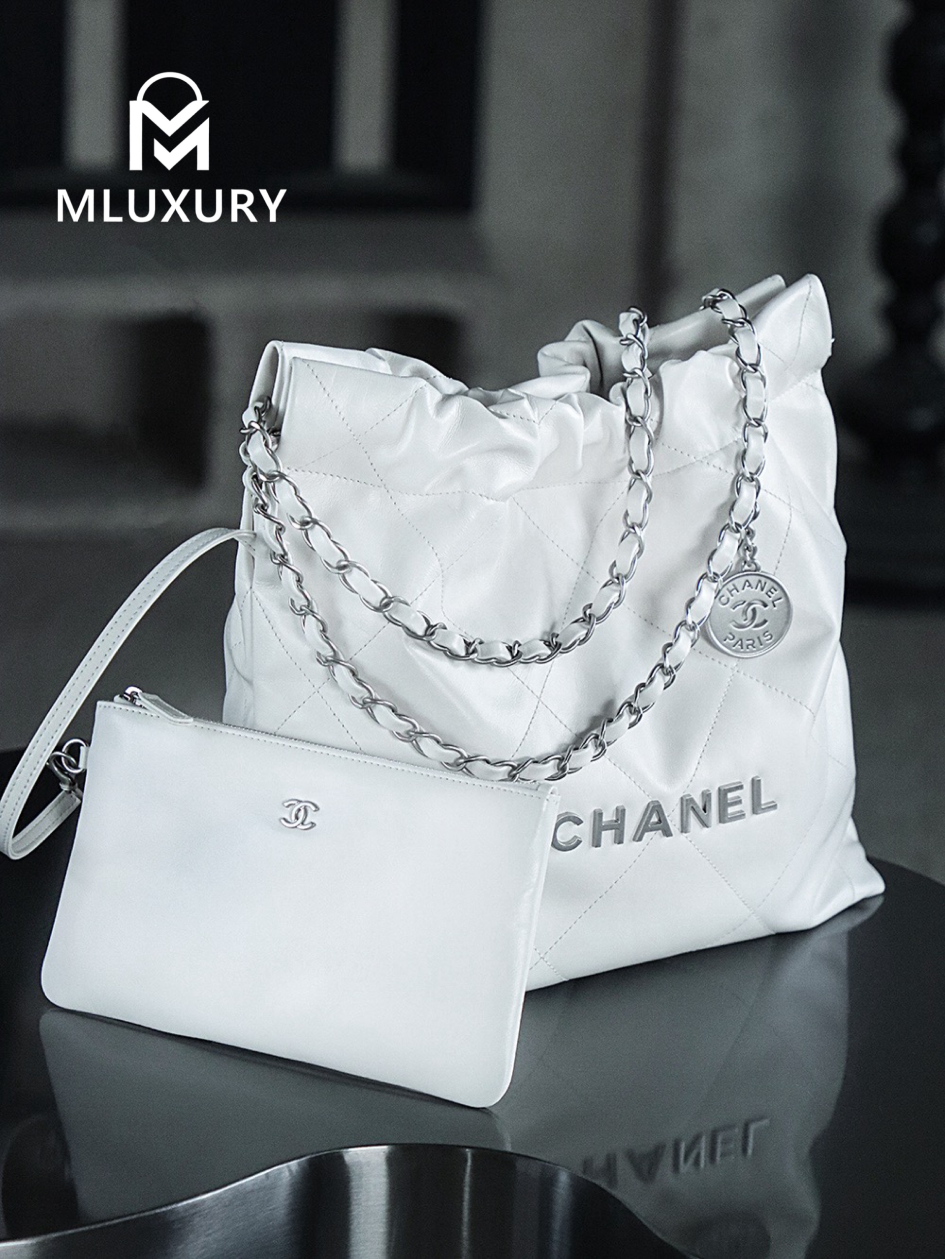 CHANEL 22 BAG (Small Size), White&Silver
