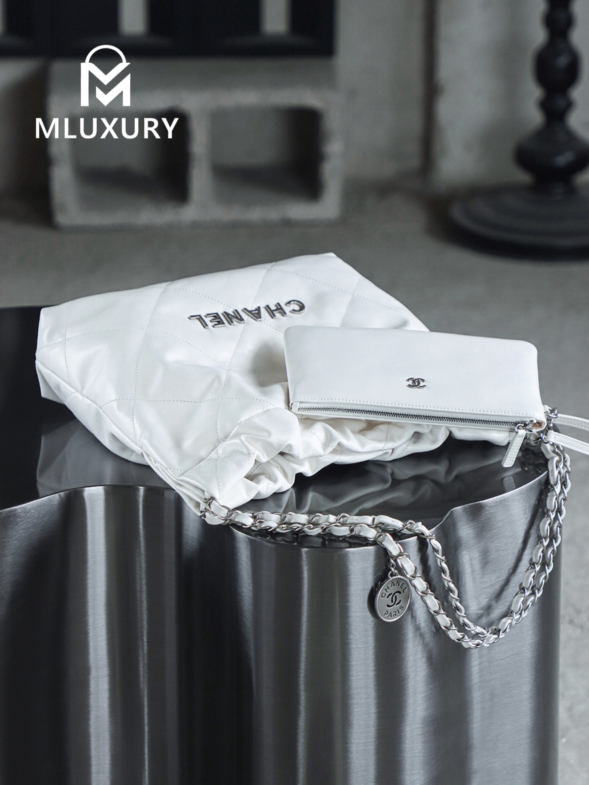 CHANEL 22 BAG (Small Size), White&Silver
