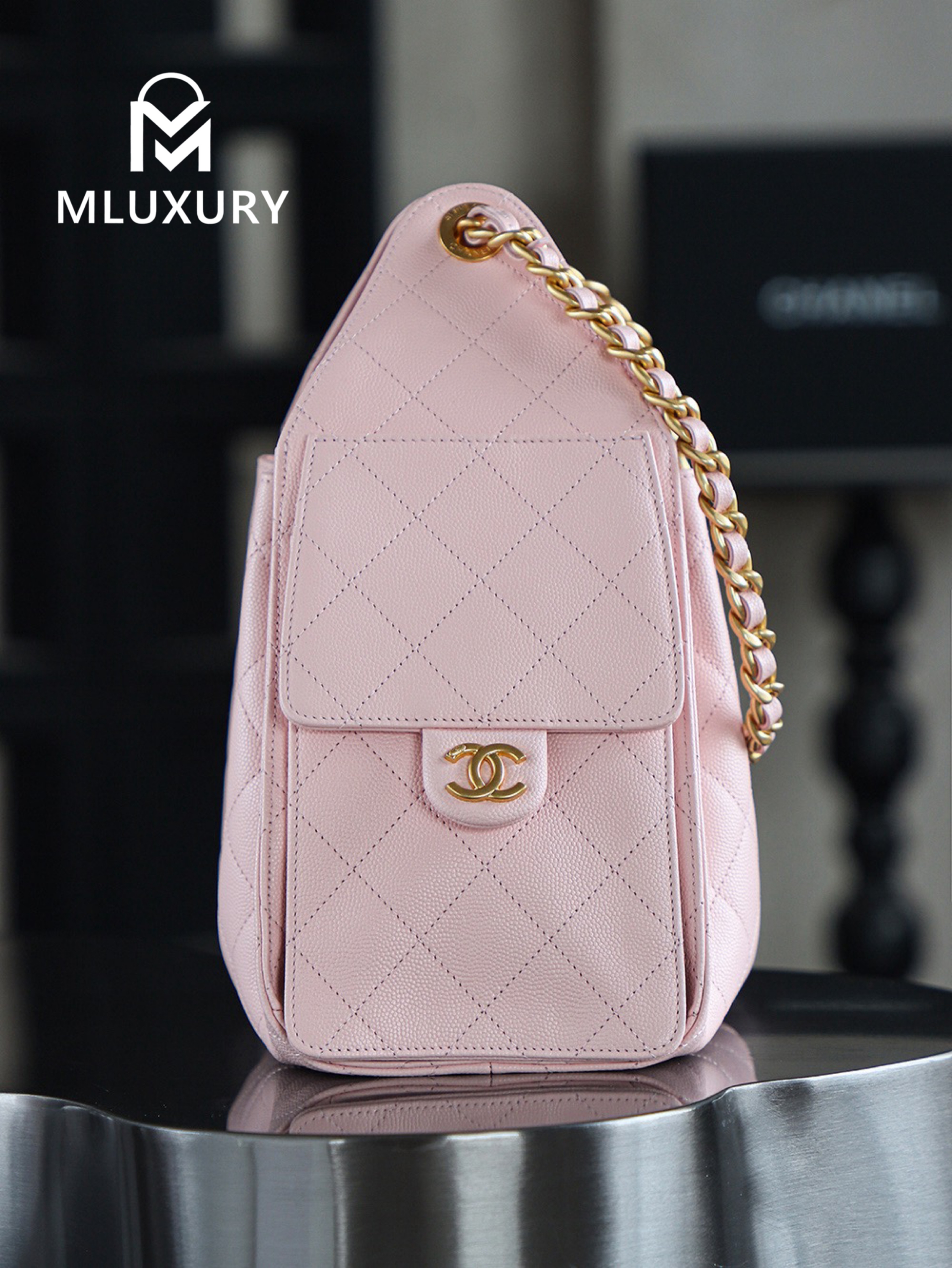 CHANEL 25Bag (Small Size)