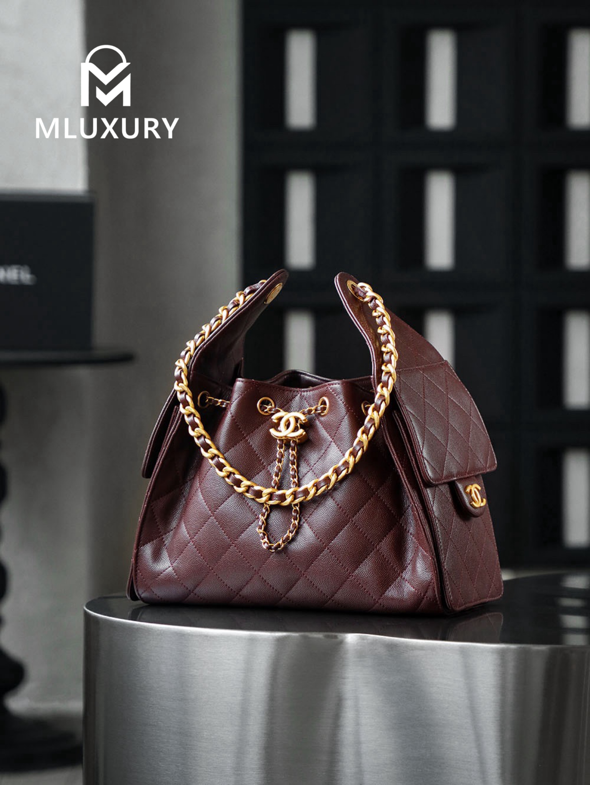 CHANEL 25Bag (Small Size)