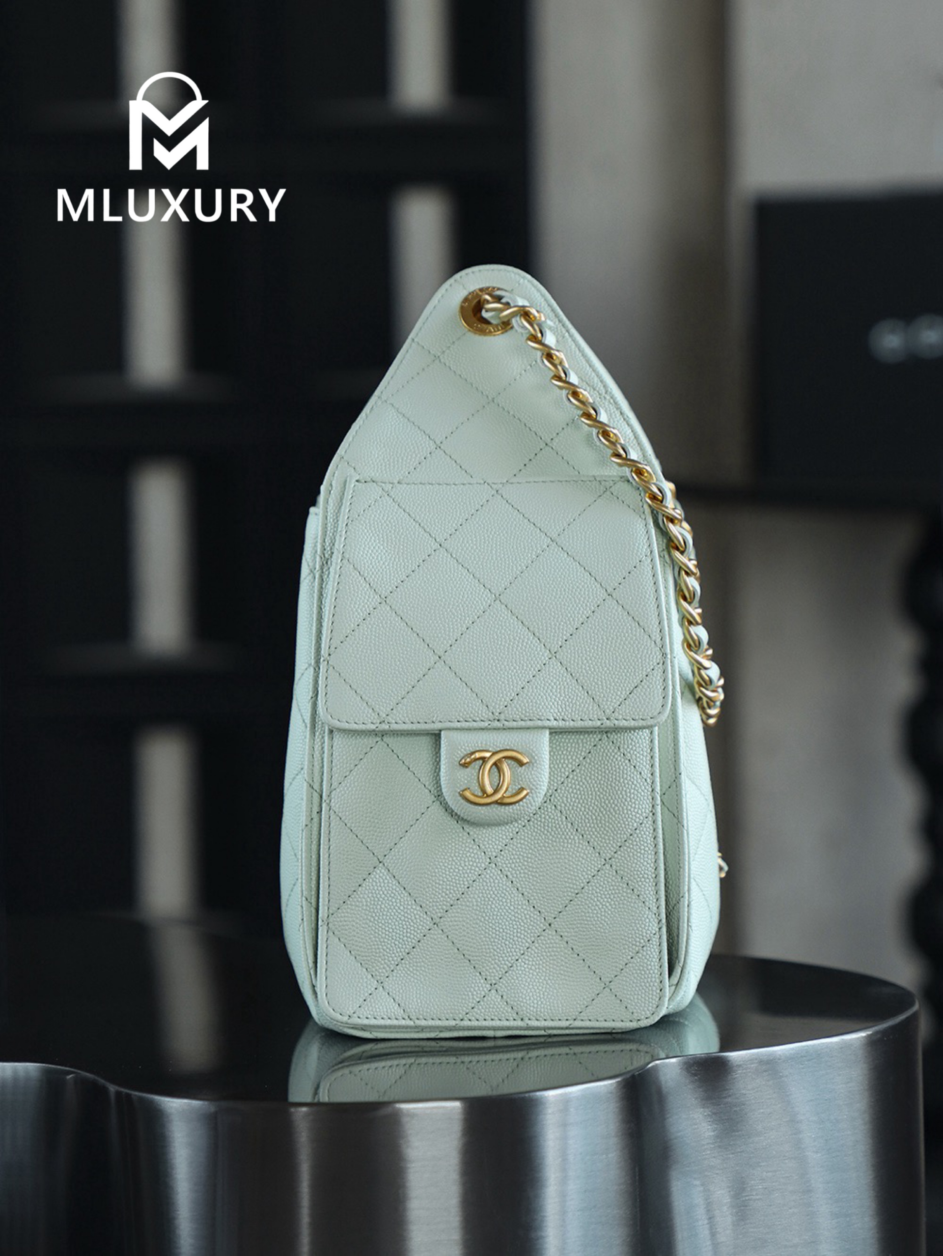 CHANEL 25Bag (Small Size)