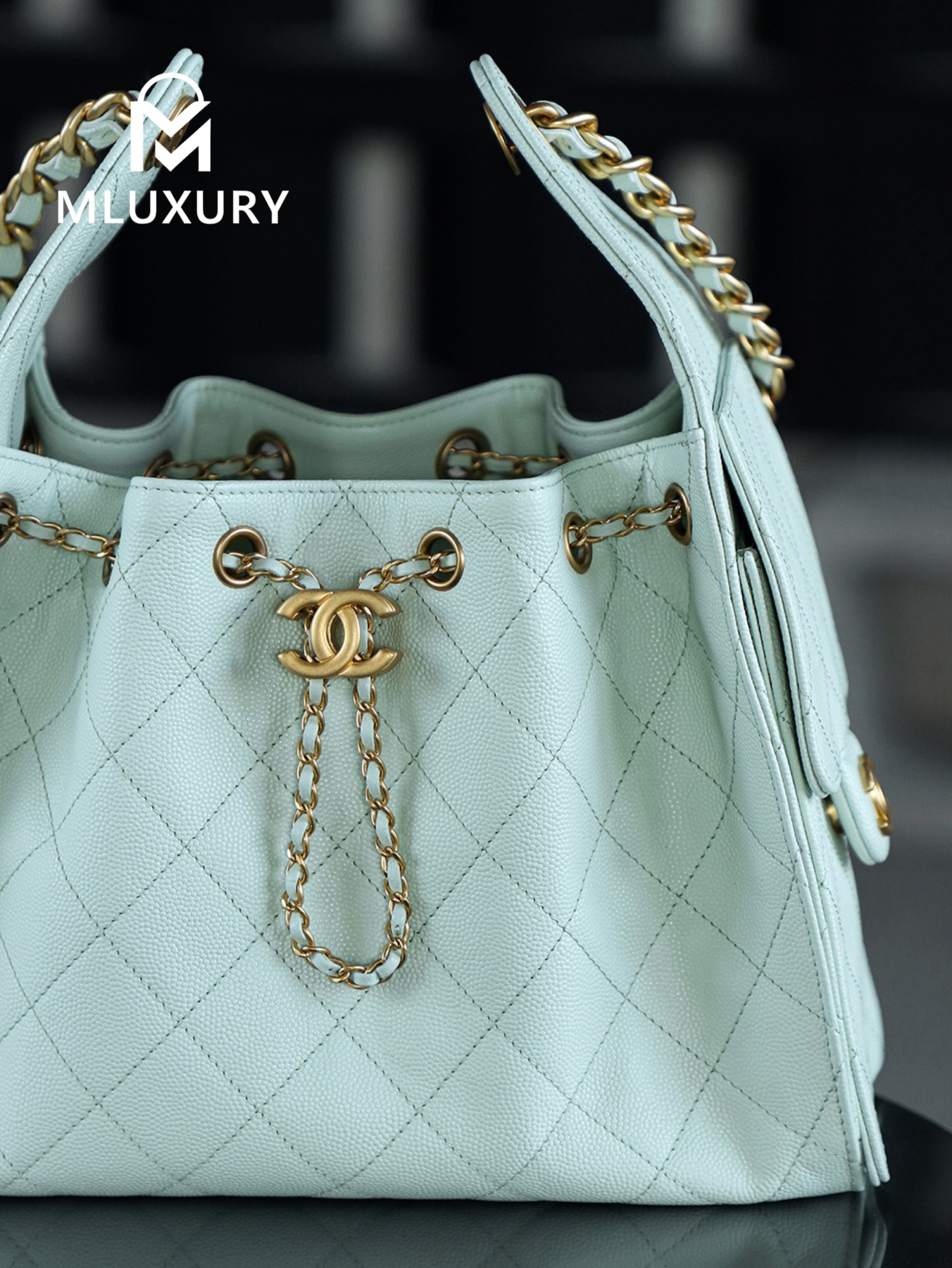 CHANEL 25Bag (Small Size)