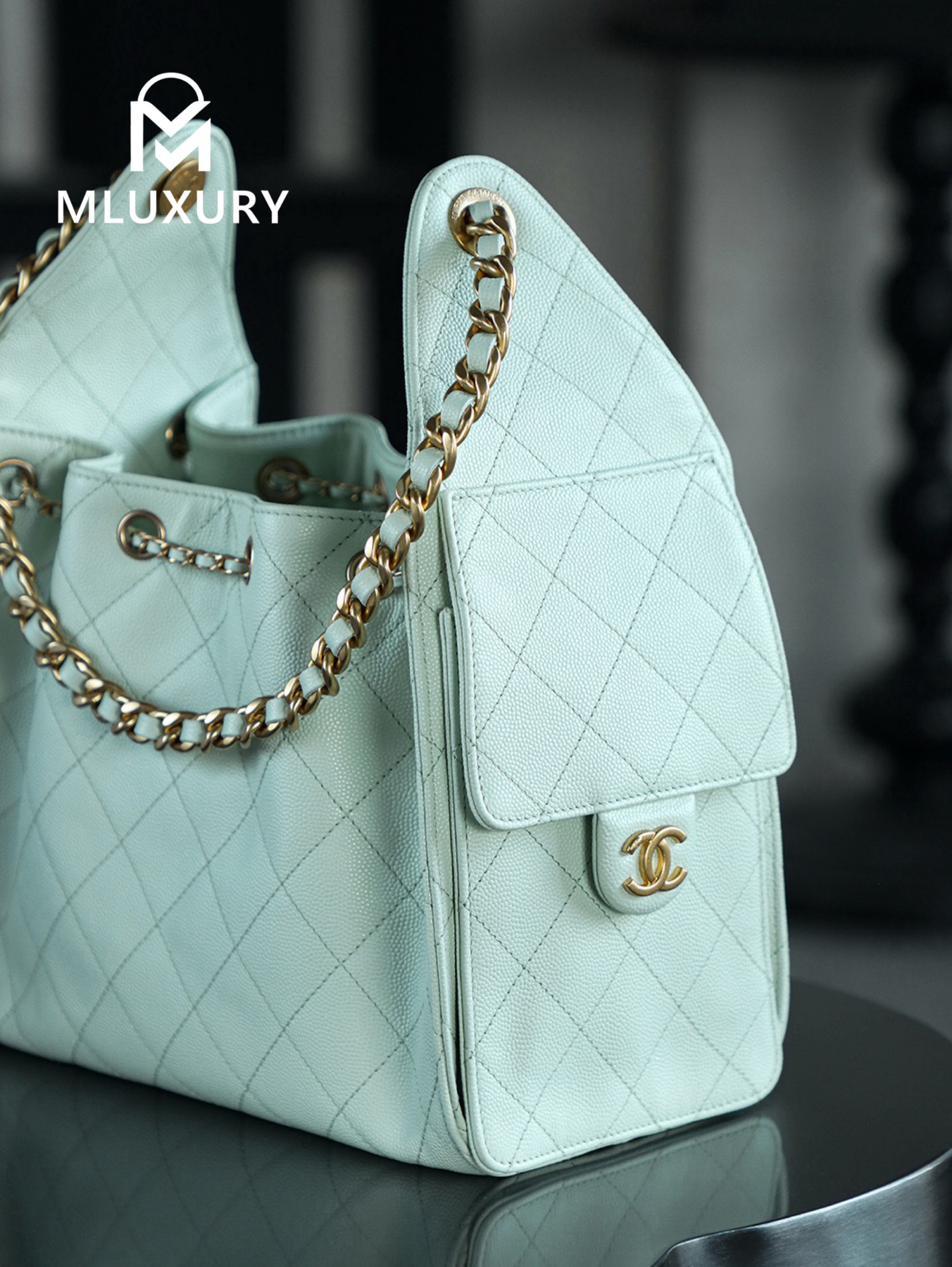 CHANEL 25Bag (Small Size)
