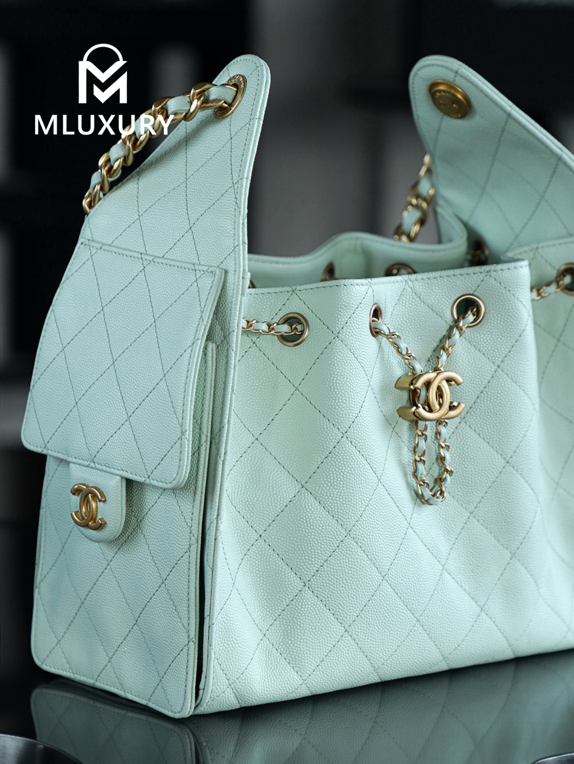 CHANEL 25Bag (Small Size)