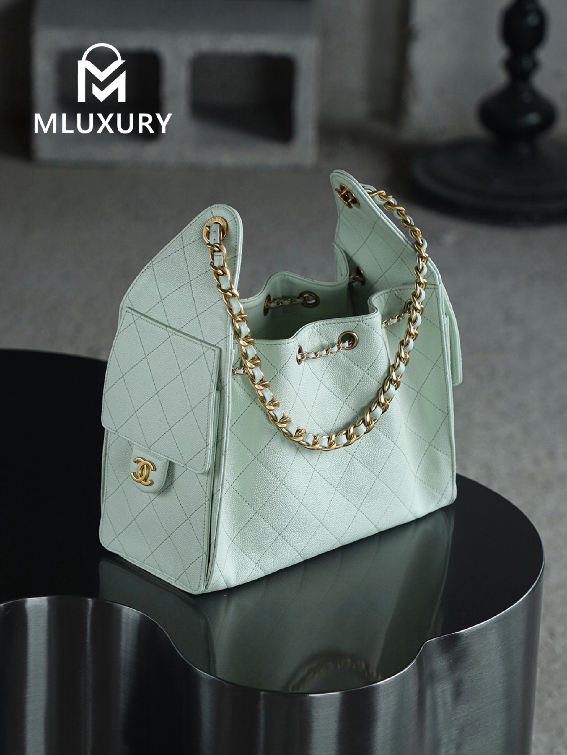 CHANEL 25Bag (Small Size)