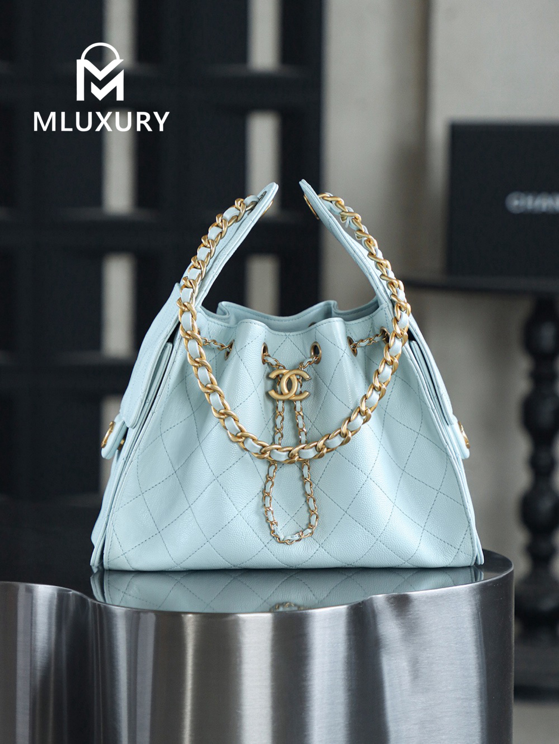 CHANEL 25Bag (Small Size)