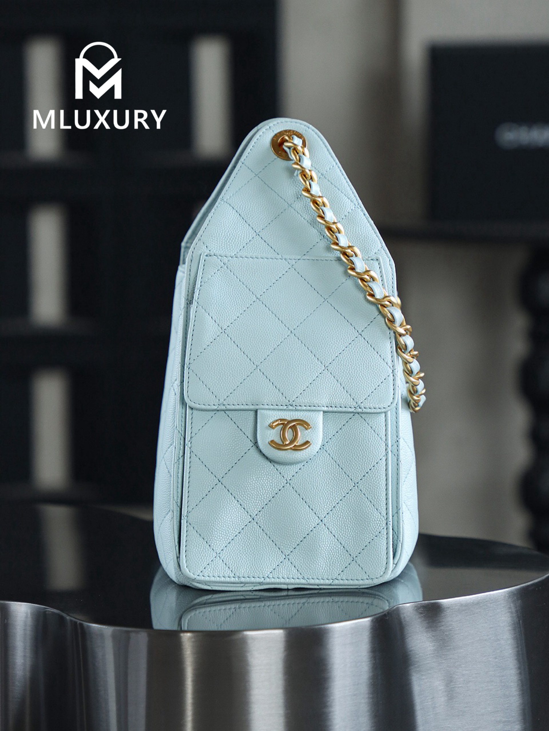 CHANEL 25Bag (Small Size)