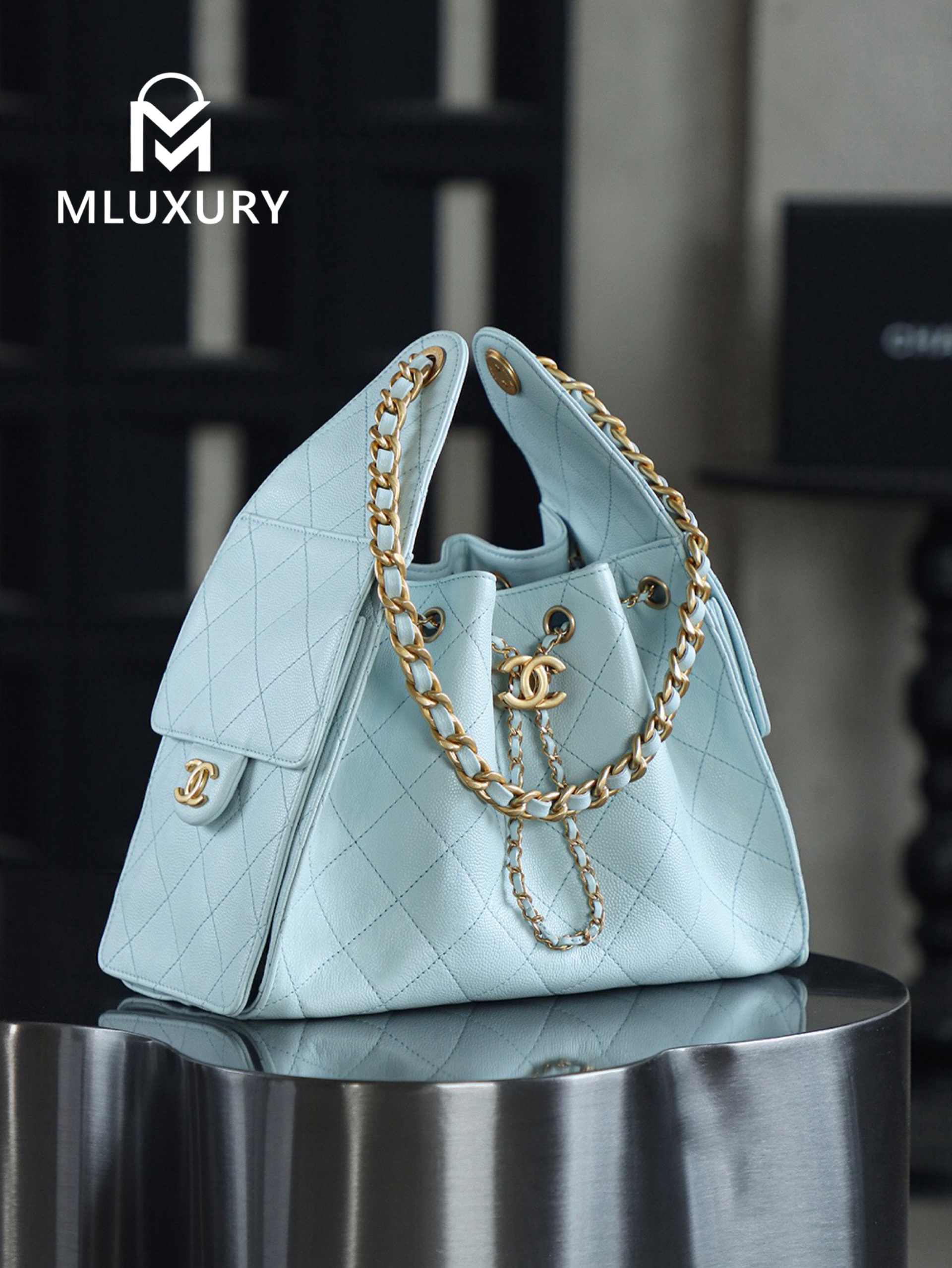 CHANEL 25Bag (Small Size)