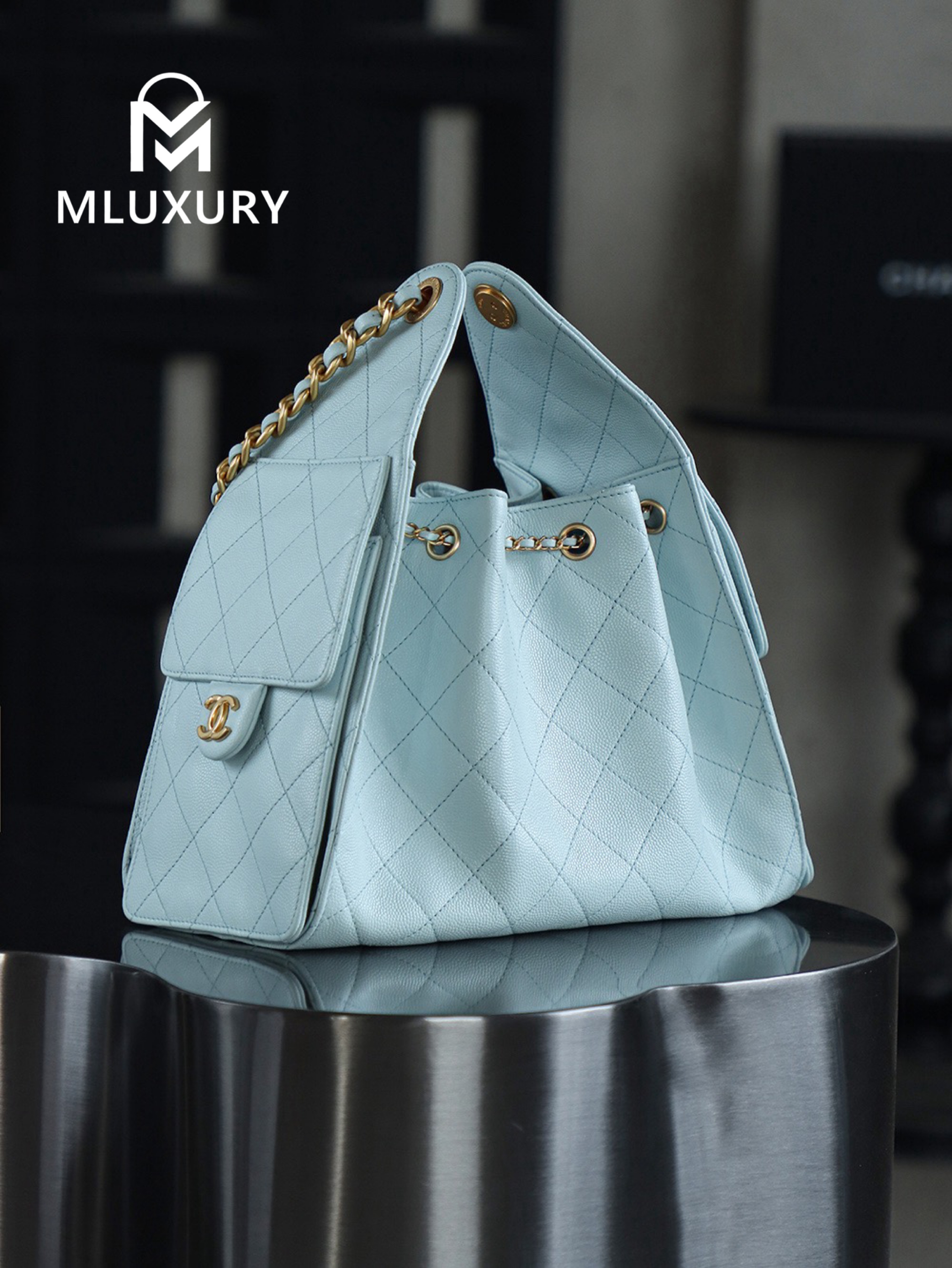 CHANEL 25Bag (Small Size)