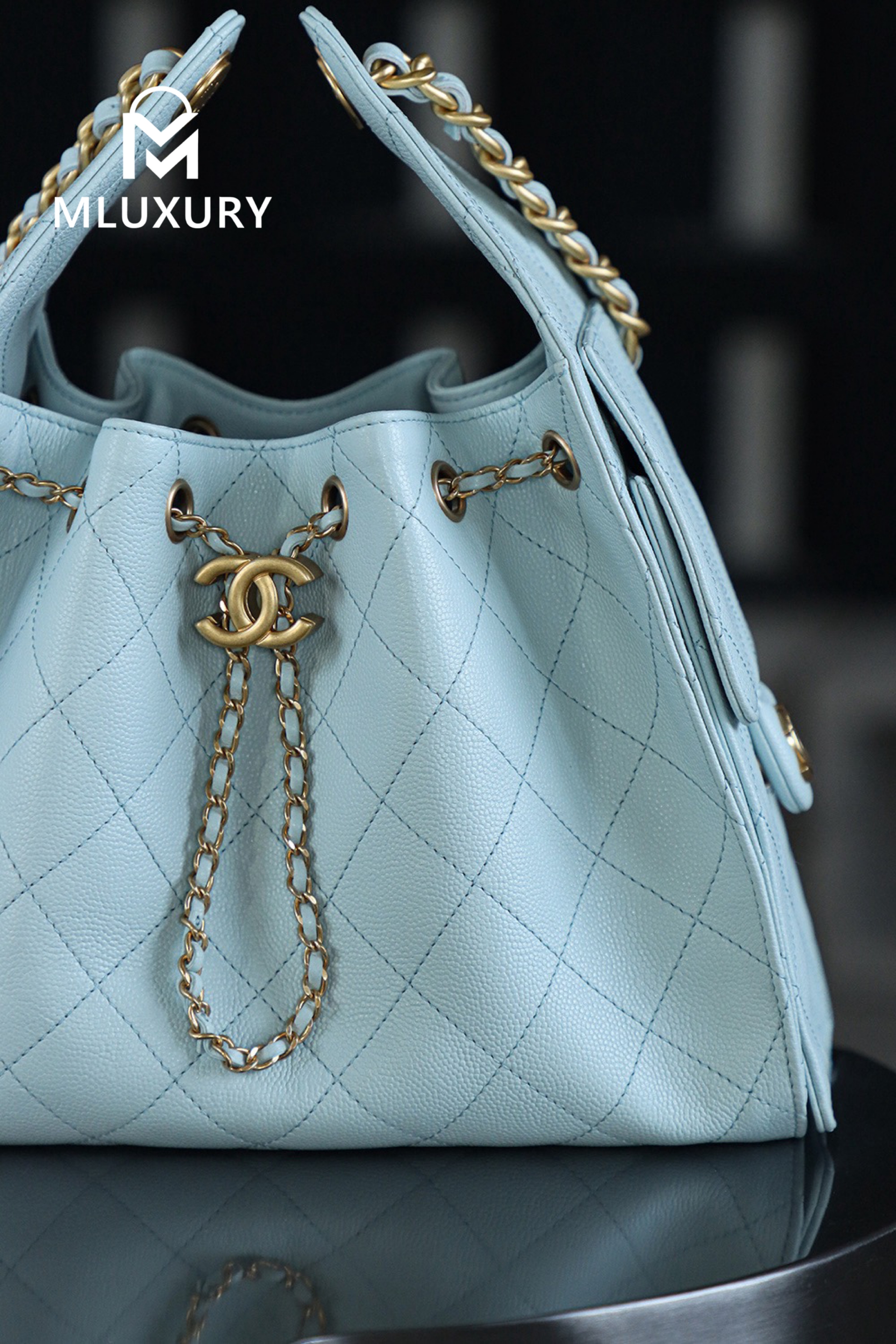 CHANEL 25Bag (Small Size)