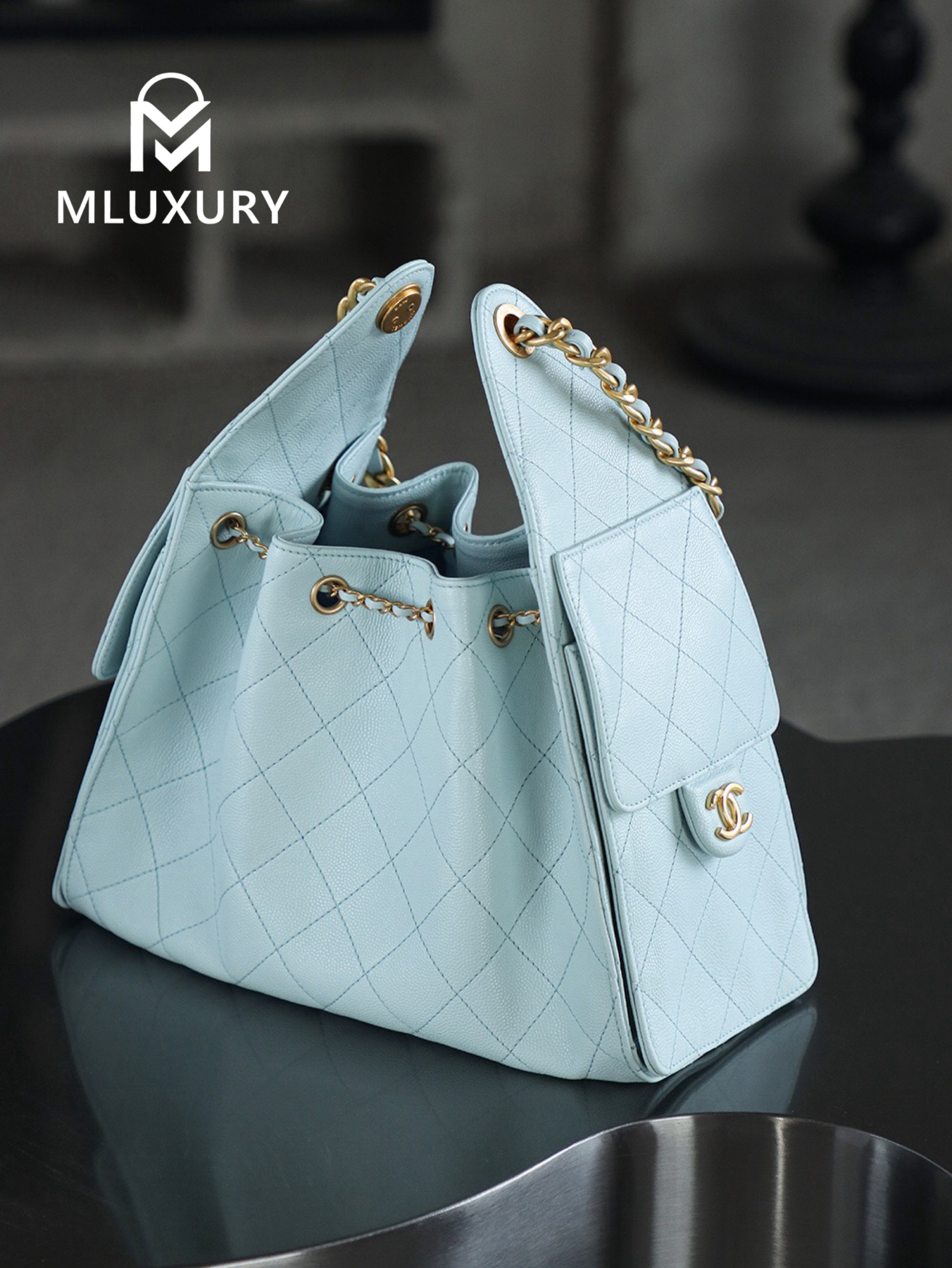 CHANEL 25Bag (Small Size)