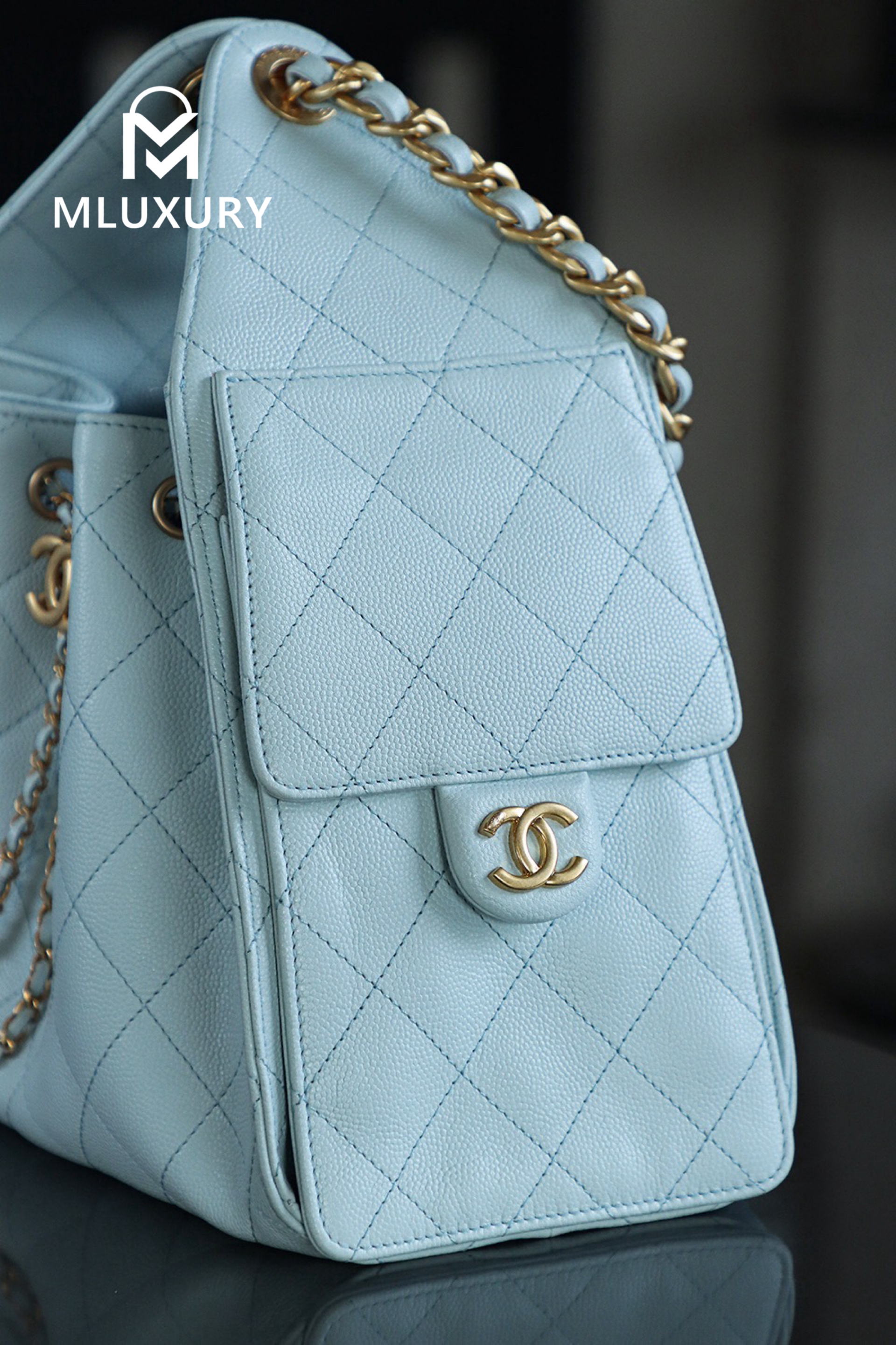 CHANEL 25Bag (Small Size)