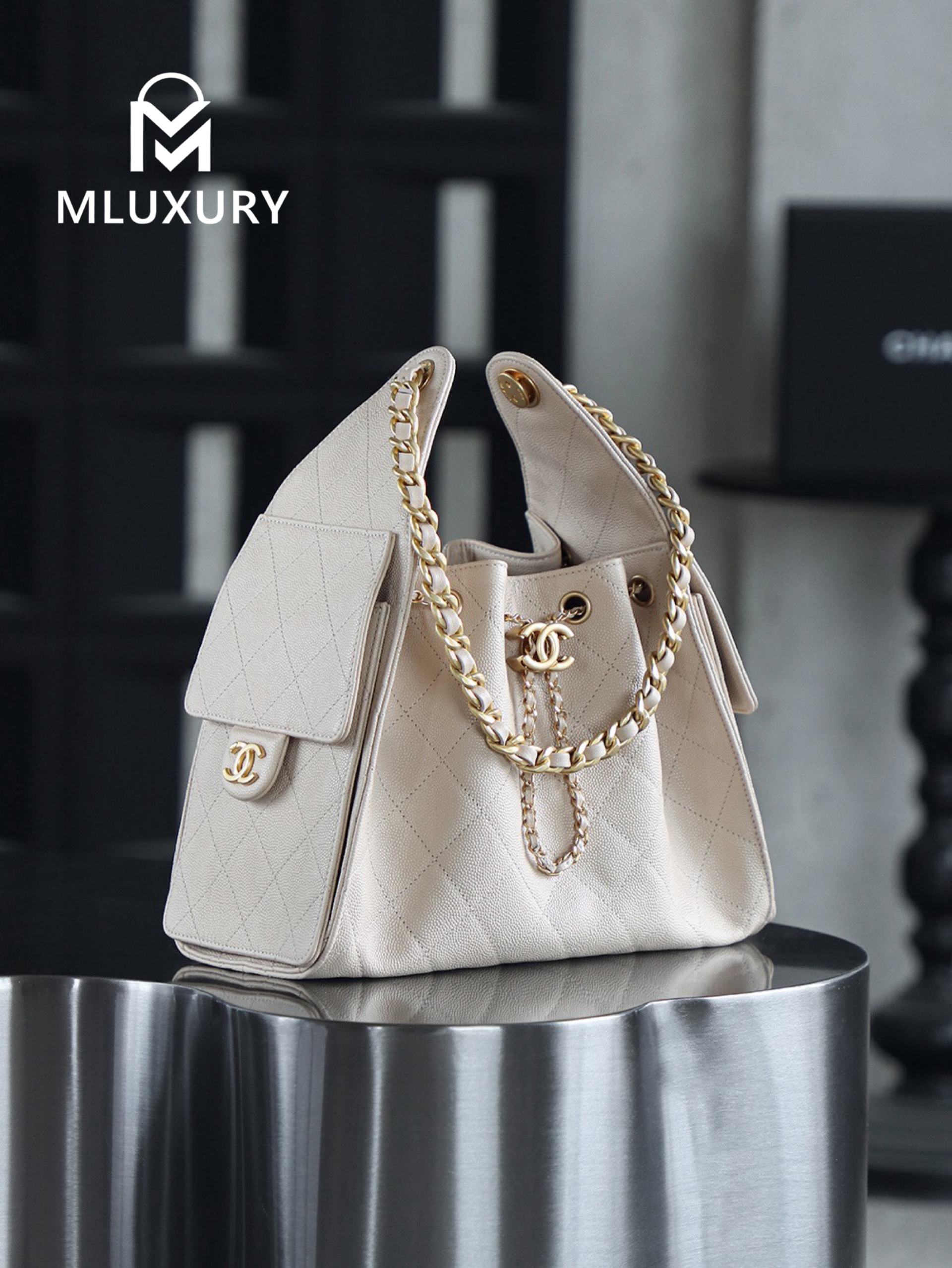 CHANEL 25Bag (Small Size)