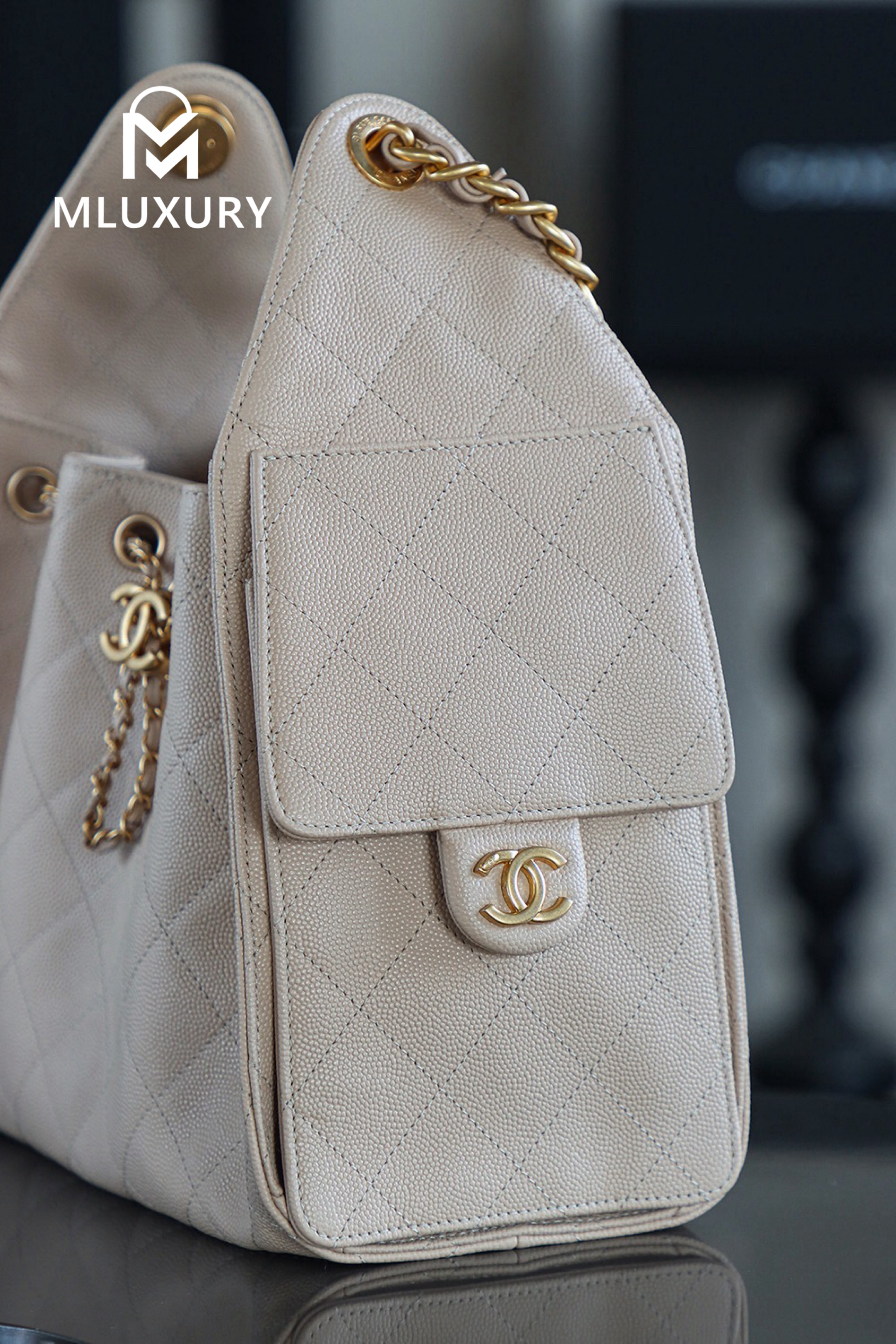 CHANEL 25Bag (Small Size)